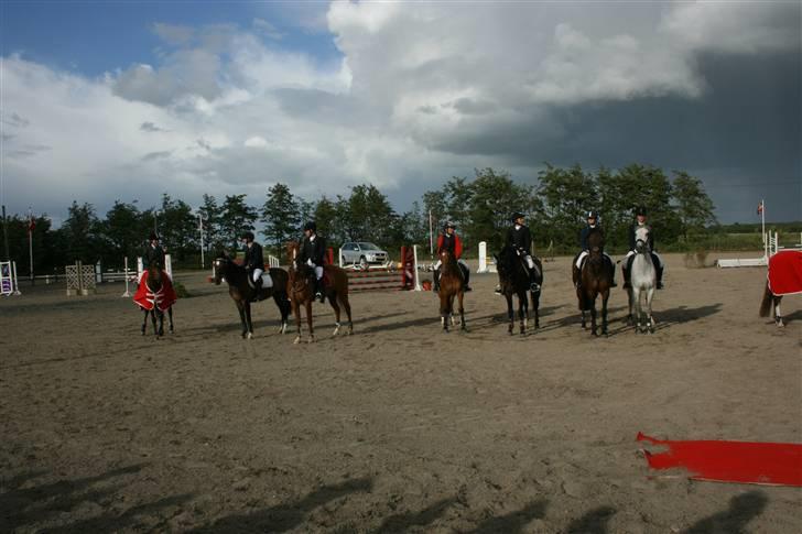 Belgisk Sportspony - Decision - os alle ved præmieoverrækkelse til FM 2008 billede 8