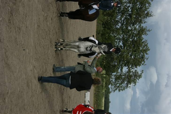 Belgisk Sportspony - Decision - Mig og Decision til præmieoverrækkelse ved FM billede 9