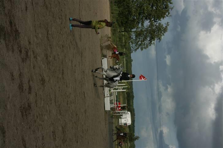 Belgisk Sportspony - Decision - Mig og Dec til æresrunde ved FM billede 10