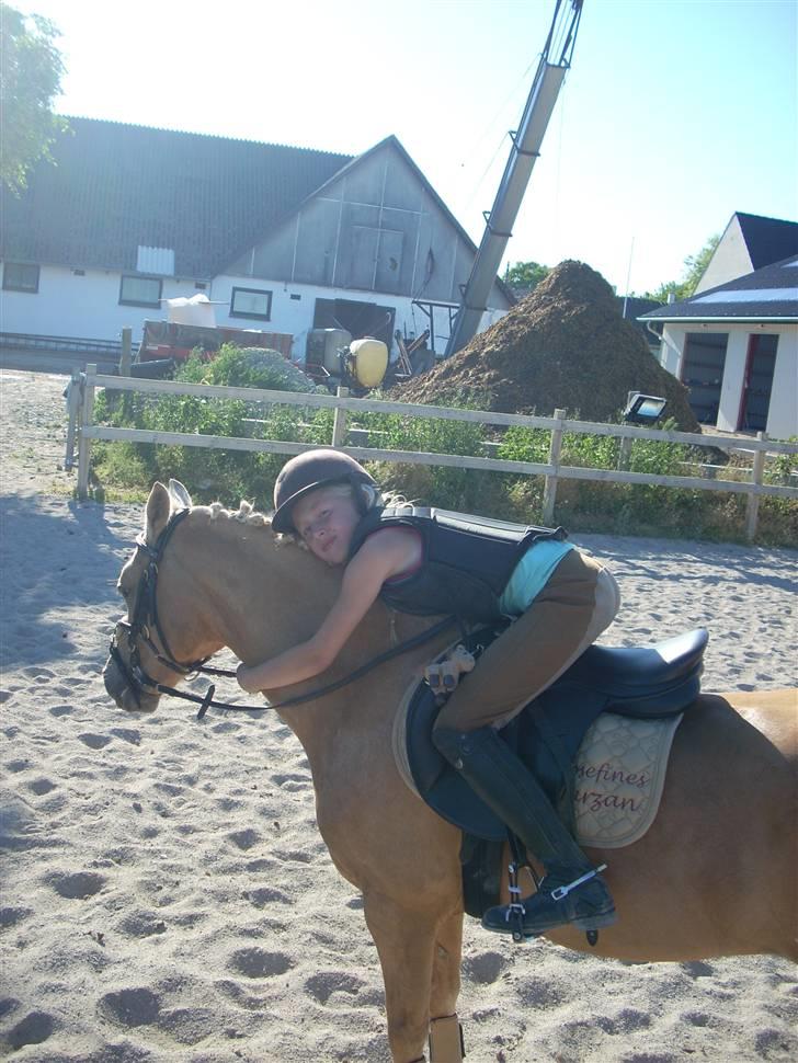 Palomino Trixi  - Trixi og mig er søde sammen billede 6