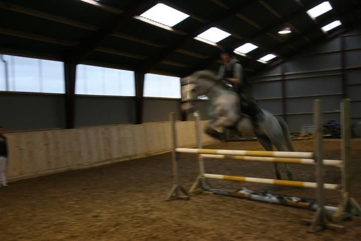 Belgisk Sportspony - Decision - Mig og Dec til træning, som foregår hjemme. Lavt spring men til gengæld var den ikk nem a ride ind på det kan bare ikk ses ;) billede 12