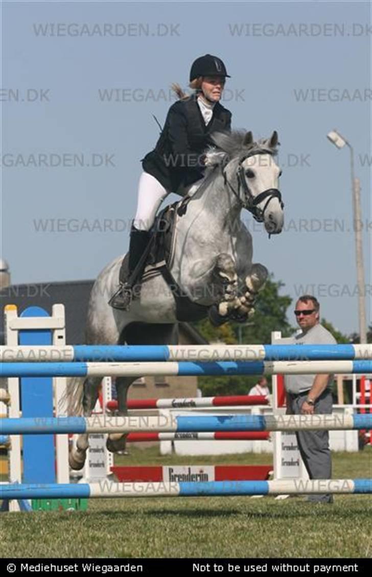 Belgisk Sportspony - Decision - Mig og Decision i Bellinge i MB (red nul) + 4. plads ;) elsker dig <3 billede 14