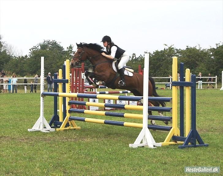 Anden særlig race Muskas - MB i Uggerhalne, 15. august 2010 | foto: Lisa-Maria Lund Eriksen. billede 18