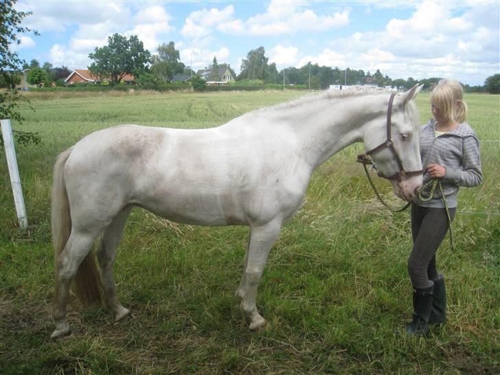 Anden særlig race Little miss Sandy delight - Et af de første billeder der blev taget, efter vi fik sandy. billede 4