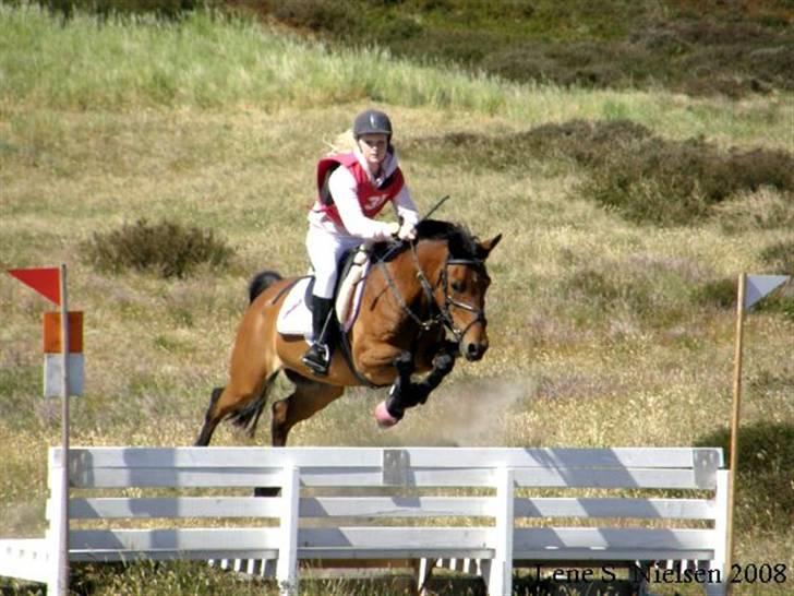 New Forest Starlace - CNCP90 bænk :b<3 foto: lene billede 17