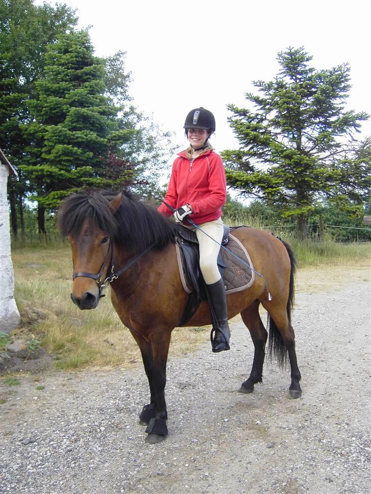 Islænder soya - her ser i soja og mig hvor jeg lige har hvert ude at springe. billede 1