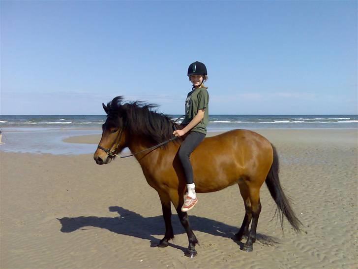 Islænder soya - Her ser i soja og mig hvor vi er i østerHurup ved vandet. billede 2