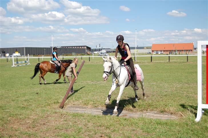 DSP ottelia - springer vandgraven<3 billede 5