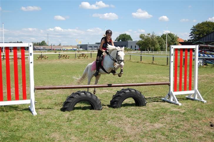 DSP ottelia - springer dæk billede 6