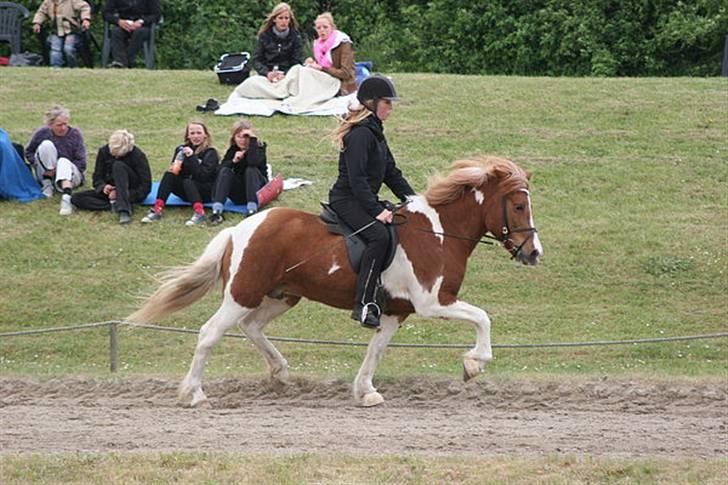 Islænder Falleg fra Thorsvighus - Pinse stævnet 09 :D<3  i suuuper trav (: foto : Caroline storch billede 11