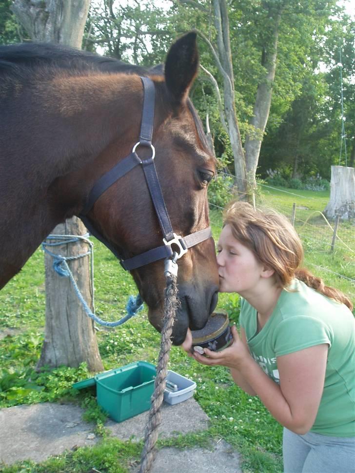 Anden særlig race Amadeo*solgt* - Jeg har det bare så godt... billede 11