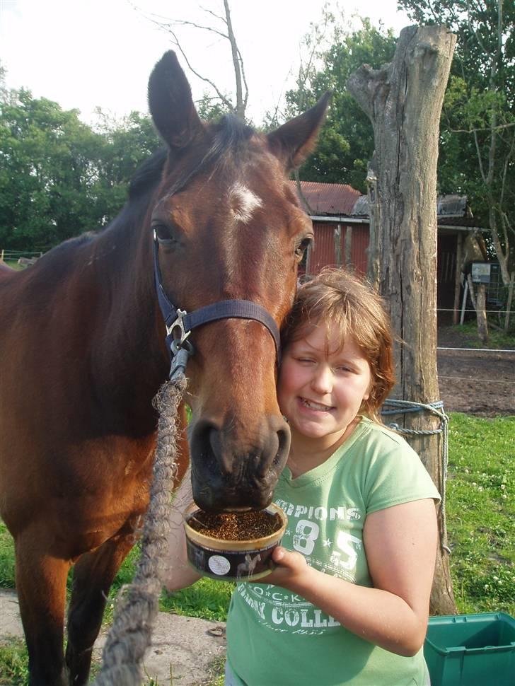 Anden særlig race Amadeo*solgt* - Jeg er bare pænere end dig Maja... billede 16