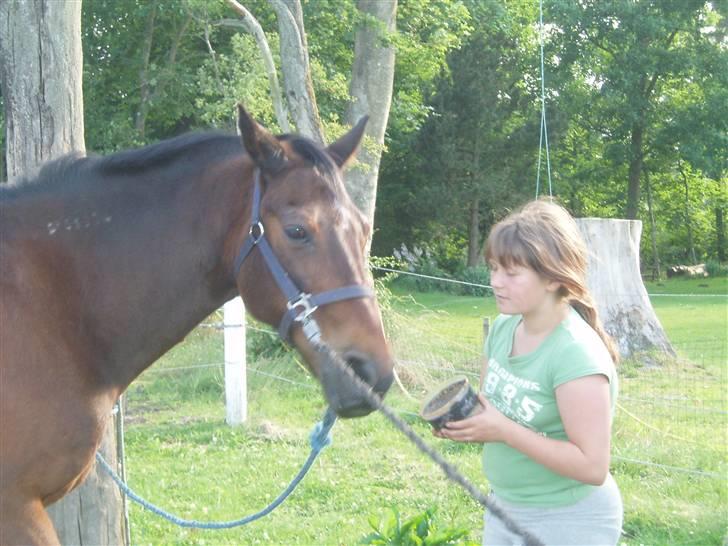 Anden særlig race Amadeo*solgt* - Jeg vil ikk ha mer... billede 17