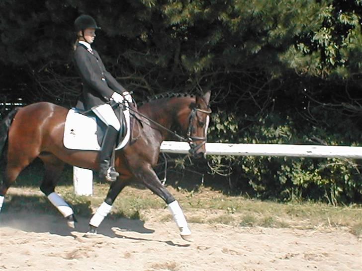 DSP TennesseeToftebanke SOLGT billede 1