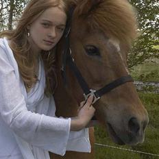 Islænder Aldis Fra Lundebakkegård