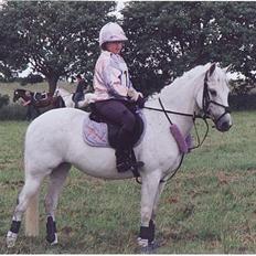 New Forest Life Energi Anis (solgt)