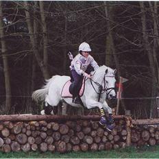 New Forest Life Energi Anis (solgt)