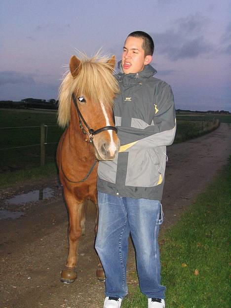 Islænder Vægir Fra Lønne - Vægir og  Daniel :o)  billede 3