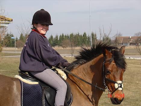 Anden særlig race Calvin Klein <3 R.I.P - Der har vi lige fået hovedt drejet så man kan se ham ordenligt, se en fin manke han har den stridter, igen hjemme hos mig!!:O) billede 7