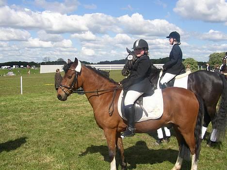 Anden særlig race Calvin Klein <3 R.I.P - Calle og jeg endnu engang efter den sidste klasse i dette års cup i MSRK. billede 10
