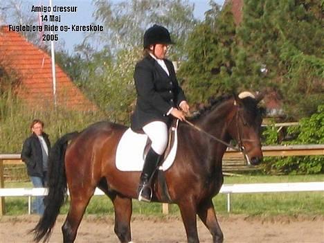 Fuldblod (XX) Dark Amigo (aflivet) billede 4