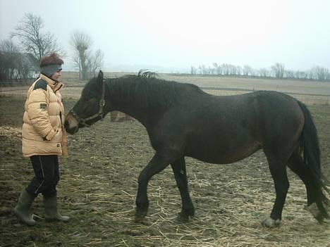 Anden særlig race Musse - Har du noget i lommen mor.? billede 3