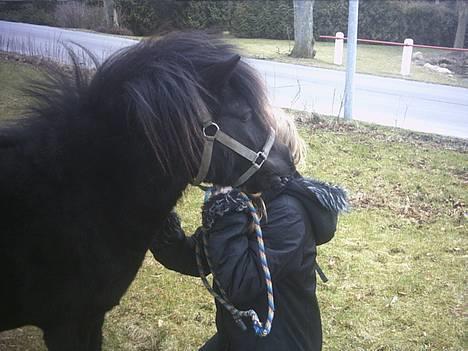 Shetlænder Mulle - Mulle og hendes søde passer Karina:-) billede 1
