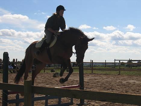 Dansk Varmblod silas - her er så et lille springbilede af mig og silas billede 1