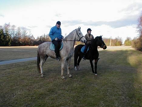 Anden særlig race Janus - Janus med min far på ryggen. Han er sød ved min far. Det er mig ved siden af på Daisy(også min hypse) billede 4