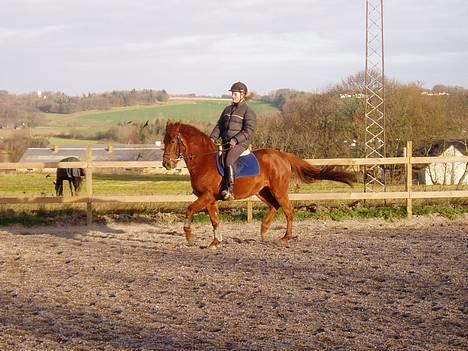 DSP Grarvens Malou(Aflivet) - gamle ejer Simone, er ved at vise hende frem til mig! (11/12-03) billede 2