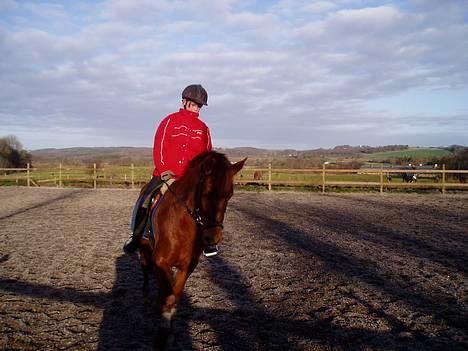 DSP Grarvens Malou(Aflivet) - her PrøvR jeG henDe For FørStE gaNG, DEt R SKønT.....(11/12-03) billede 3