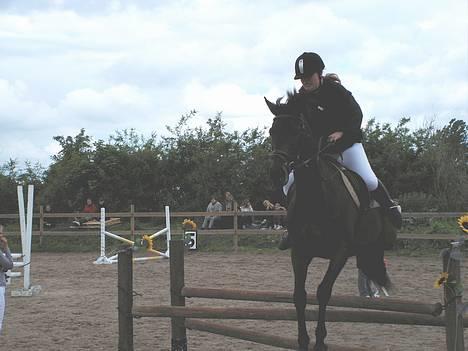 Fuldblod (XX) Dark Amigo (aflivet) - Ja undskyld min opstilling.. men hesten stoppede og så hoppede den :o) billede 6