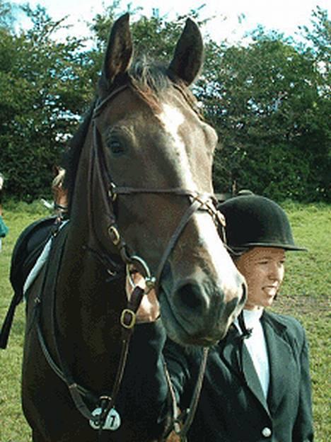 Dansk Varmblod Cor de'Light (Comet) - Profil, stævne 2002 billede 7