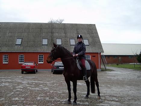 Oldenborg ## Landwein af Hvarre ## - Første ridetur billede 5
