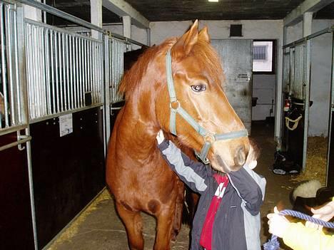 DSP Grarvens Malou(Aflivet) - hmmmm....ser jeg glad ud???? billede 5