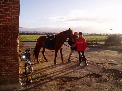 DSP Grarvens Malou(Aflivet) - Se mig!!! billede 9