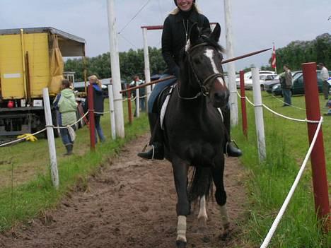 Holstener Shamigo's Jubilee - Jubilee. lidt sjov vinkel, men okay billede (; billede 1