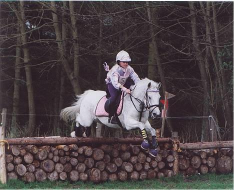 New Forest Life Energi Anis (solgt) - Brænde stakken i HKR billede 2