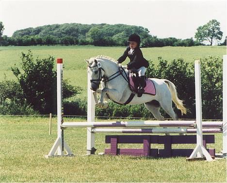 New Forest Life Energi Anis (solgt) - Vores ynglings spring (farverne lilla og lyserød ) billede 3