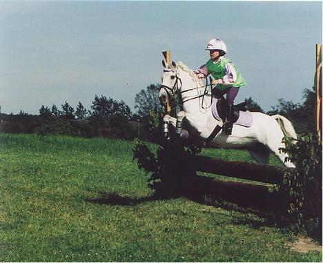 New Forest Life Energi Anis (solgt) - på fuld frat ud i terænget  billede 4