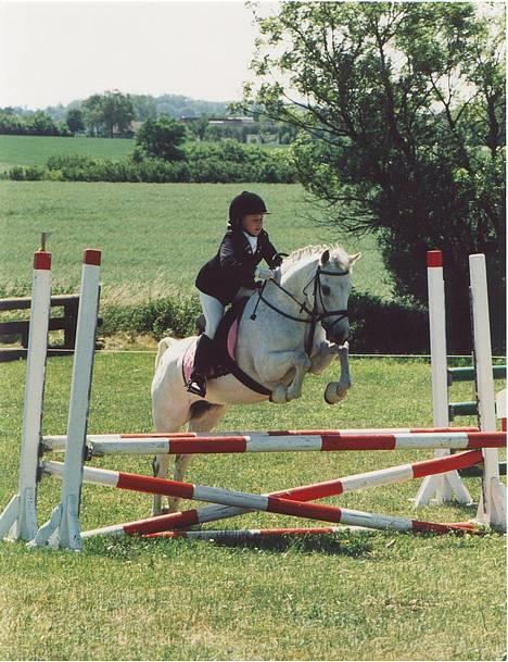 New Forest Life Energi Anis (solgt) - Military i Ringe  billede 6