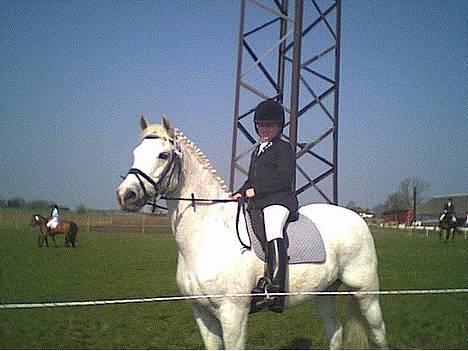 New Forest Life Energi Anis (solgt) - Military i HKR billede 7