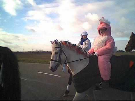 New Forest Life Energi Anis (solgt) - Vores første fastalavns ridning  ( kanin på grøn mark ) 2002 billede 8