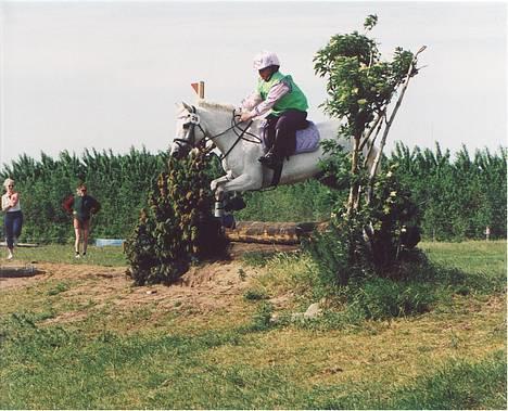 New Forest Life Energi Anis (solgt) - Military I Ringe  billede 5