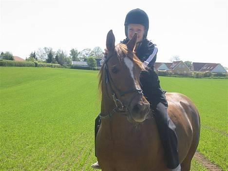 DSP Firhøjs Nobi R.I.P :'( - elsket <´33 (Foto: Maya) billede 1