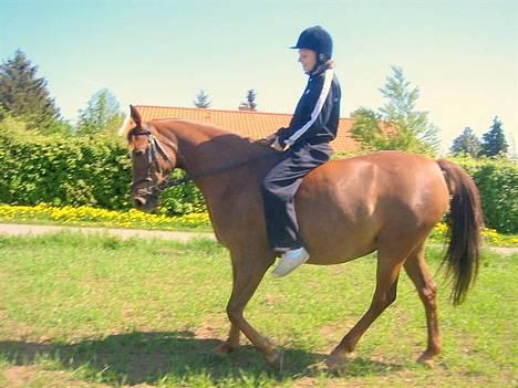 DSP Firhøjs Nobi R.I.P :'( - (Foto by: Maya, min vidunderlige part) billede 5