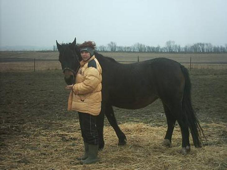 {{currentPhoto.altText}} billede {{currentPhoto.number}}