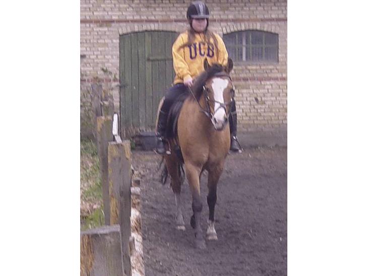 {{currentPhoto.altText}} billede {{currentPhoto.number}}