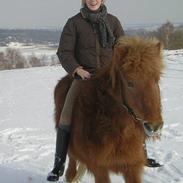 Islænder Björk fra Krogen (død)