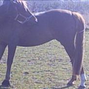 Frederiksborg Philippa †R.I.P†